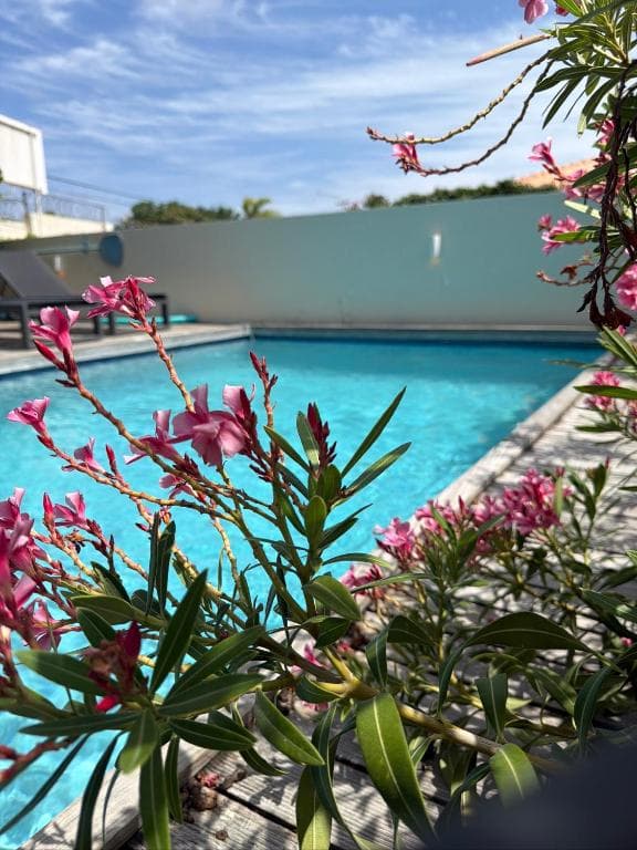 Zwembad met op de voorgrond bloeiende roze oleander